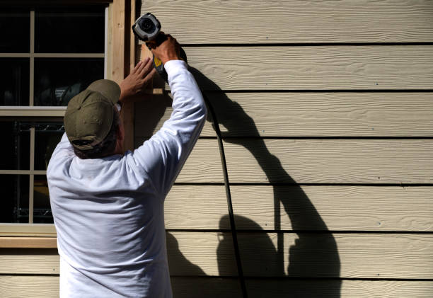Affordable Siding Repair and Maintenance Services in White Mountain Lake, AZ