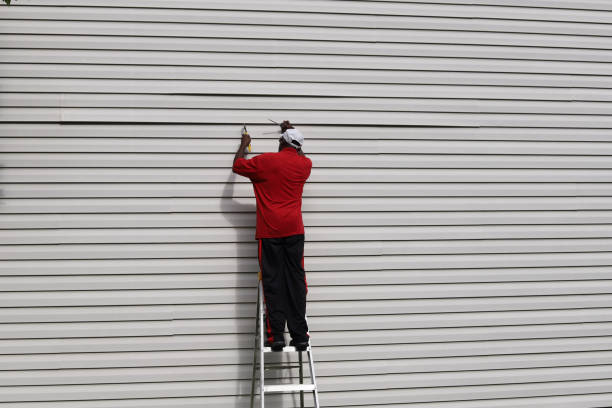 Best Brick Veneer Siding  in White Mountain Lake, AZ