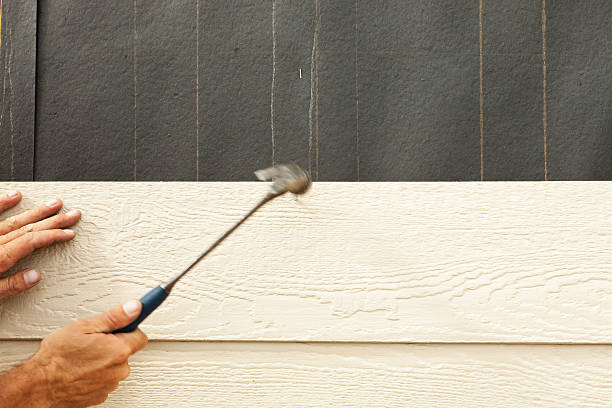 Best Siding for New Construction  in White Mountain Lake, AZ